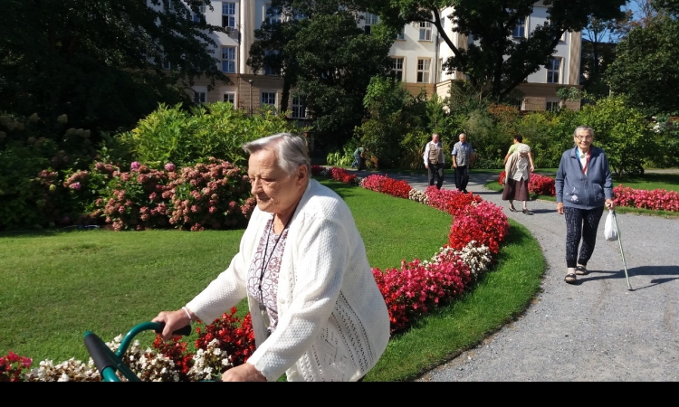 Wyjście do ogrodu botanicznego