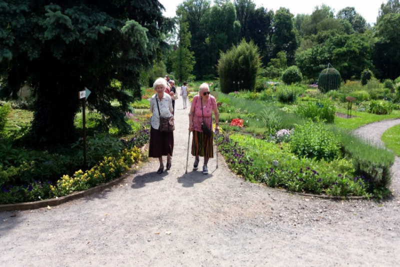 Wyjście do ogrodu botanicznego (fot. 8)