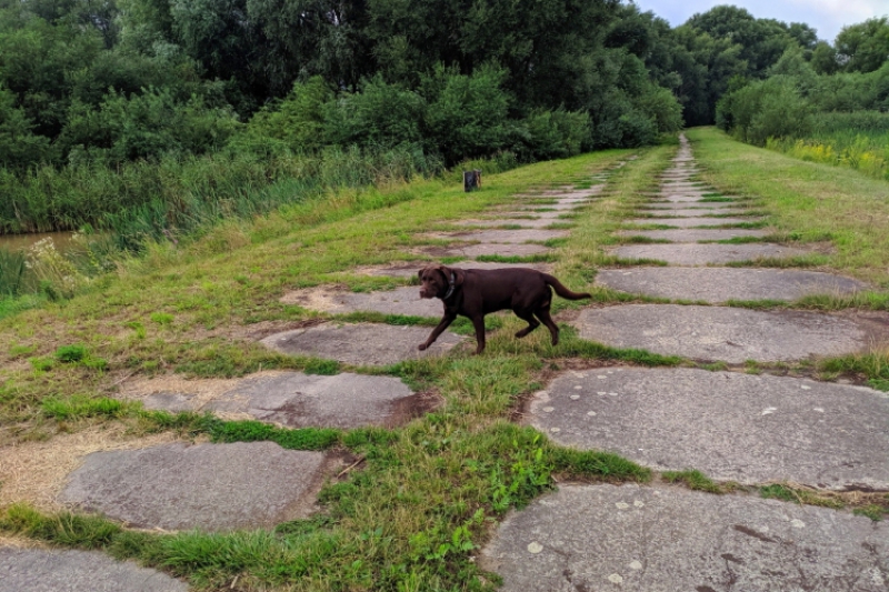 Wycieczka nad Zalew Zesławicki (fot. 5)