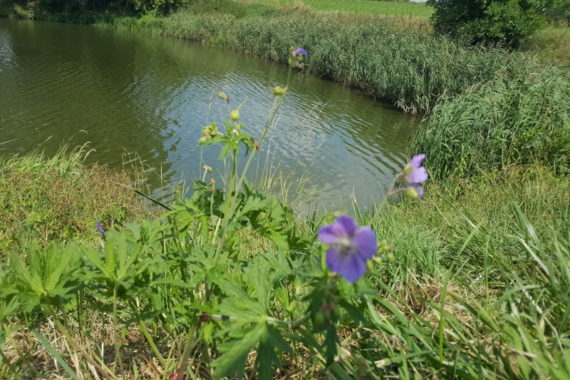 Wycieczka nad Zalew Zesławice (fot. 5)