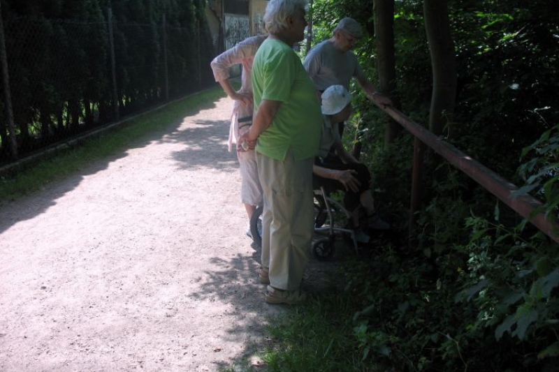 Park Kościuszki (fot. 7)