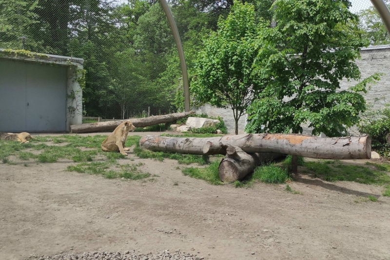 Druga wycieczka do ZOO (fot. 3)