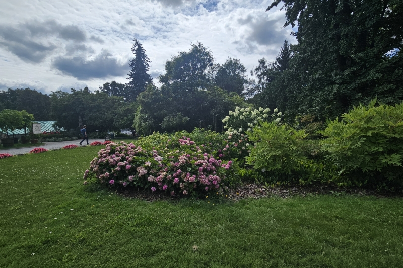 Podróż w świat natury – nasza wycieczka do ogrodu botanicznego (fot. 2)