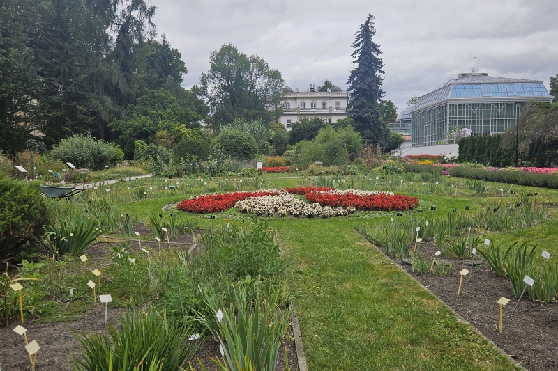 Podróż w świat natury – nasza wycieczka do ogrodu botanicznego (fot. 5)