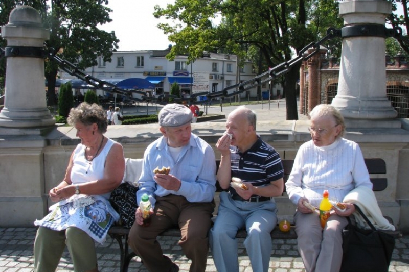 Częstochowa i Zalew... (fot. 15)