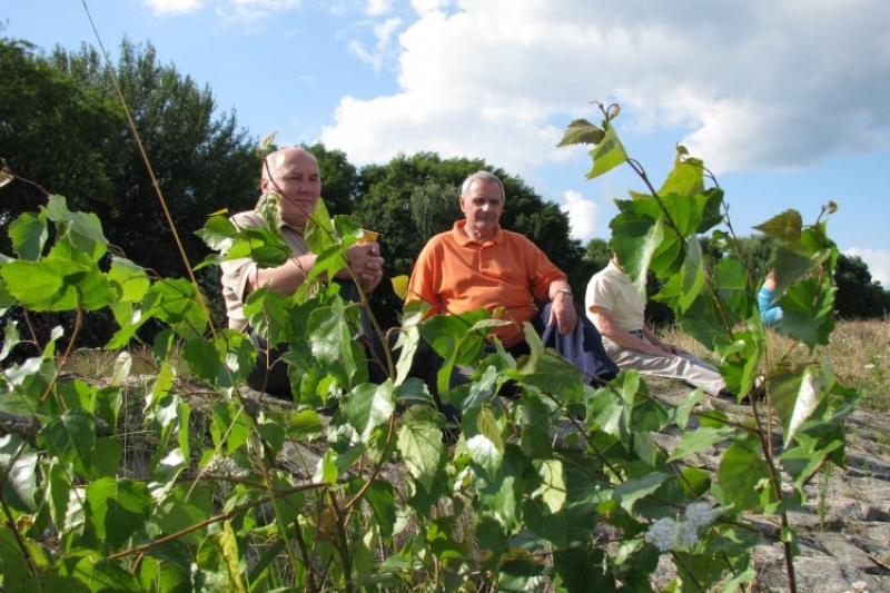 Radzionków, Pałac Kawalera i inne przyjemności (fot. 18)