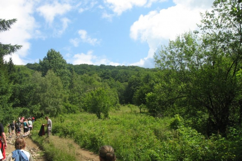 Bieszczady (fot. 11)