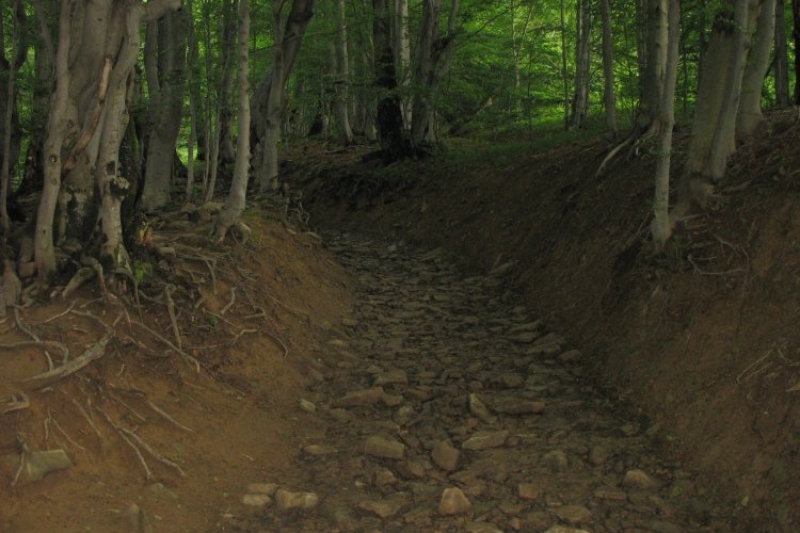 Bieszczady (fot. 13)