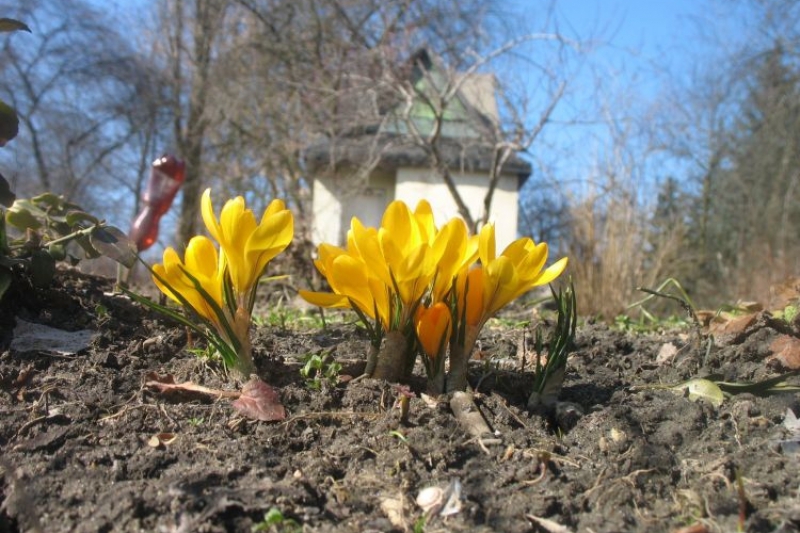 Park Krowoderski vel Wyspiańskiego (fot. 3)