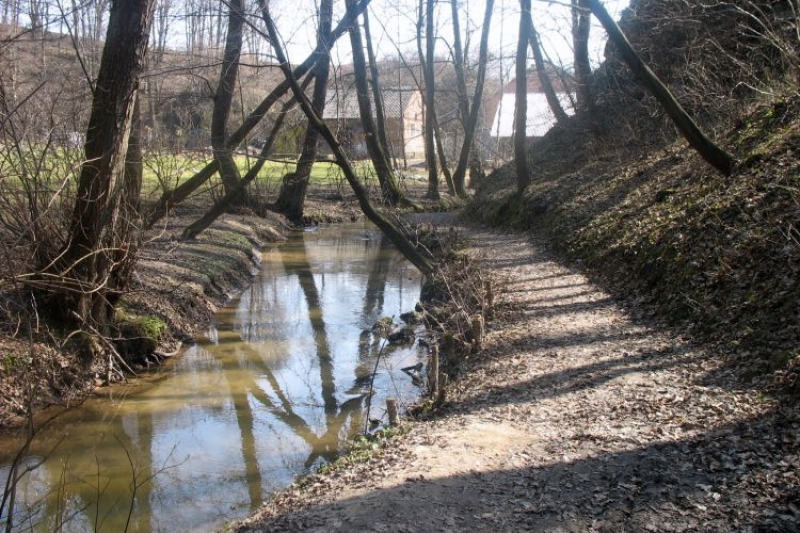 Mników (fot. 5)