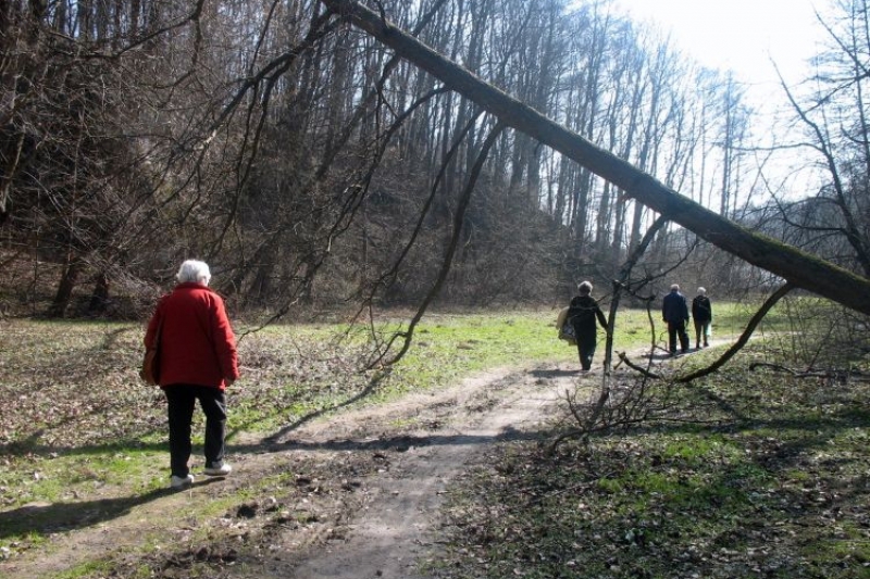 Mników (fot. 2)