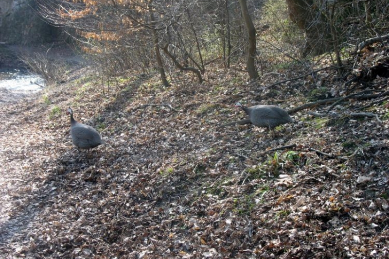 Mników (fot. 6)