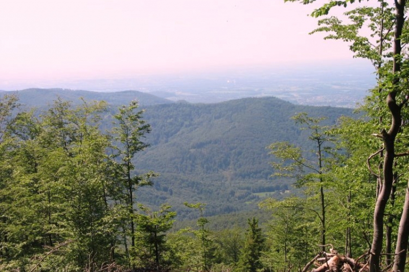 Beskid Śląski vel Szyndzielnia (fot. 5)