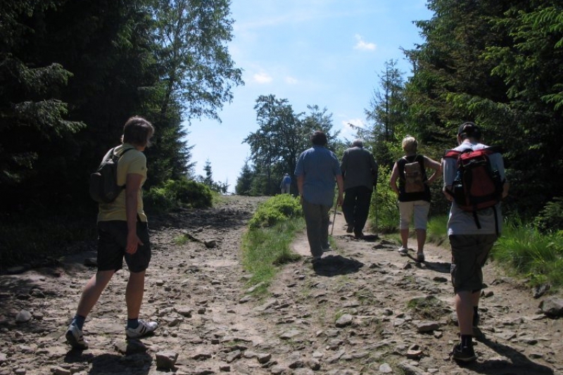 Beskid Śląski vel Szyndzielnia (fot. 2)