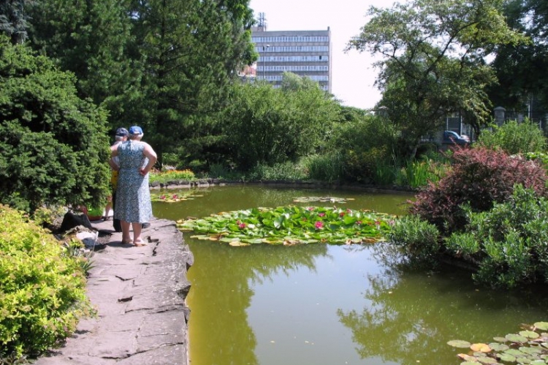 Ogród Botaniczny (fot. 2)