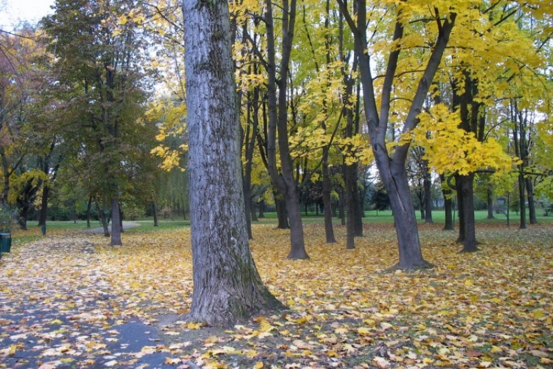 Park Wyspiańskiego (fot. 3)