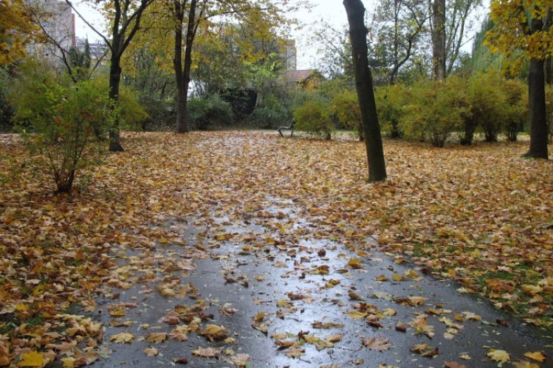 Park Wyspiańskiego (fot. 12)