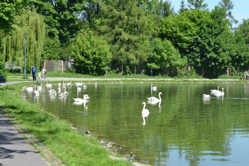 Piknik na Skraju Drogi (fot. 4)