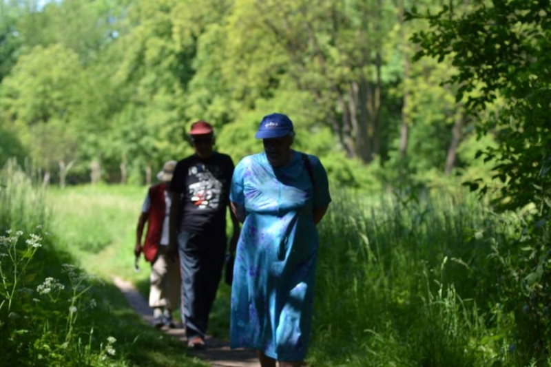 Piknik na Skraju Drogi (fot. 8)