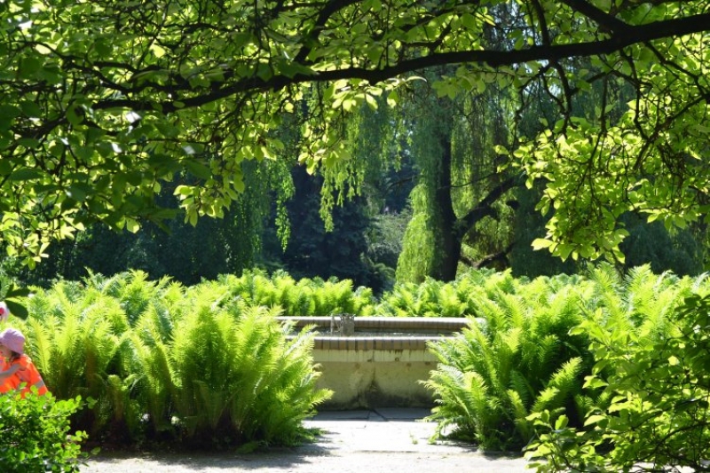 Ogród Botaniczny (fot. 2)