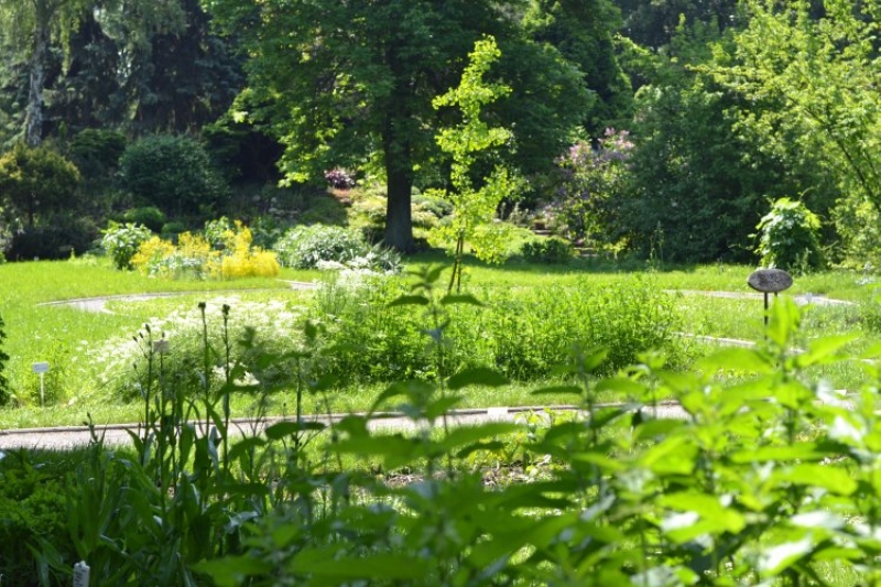 Ogród Botaniczny (fot. 6)