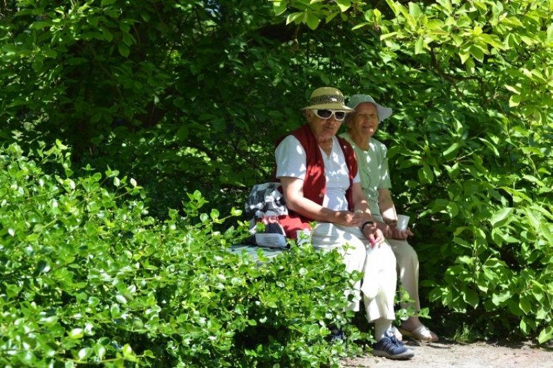 Ogród Botaniczny (fot. 4)