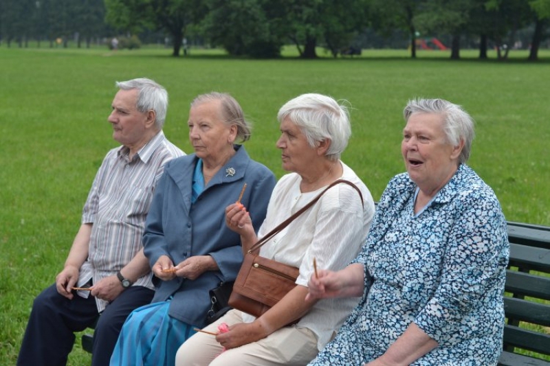 Piknik na Skraju Drogi w Parku Jordana (fot. 9)