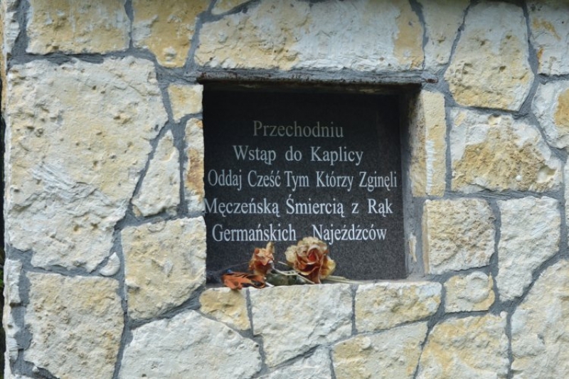 Pewien pstrąg z Doliny Będkowskiej (fot. 7)