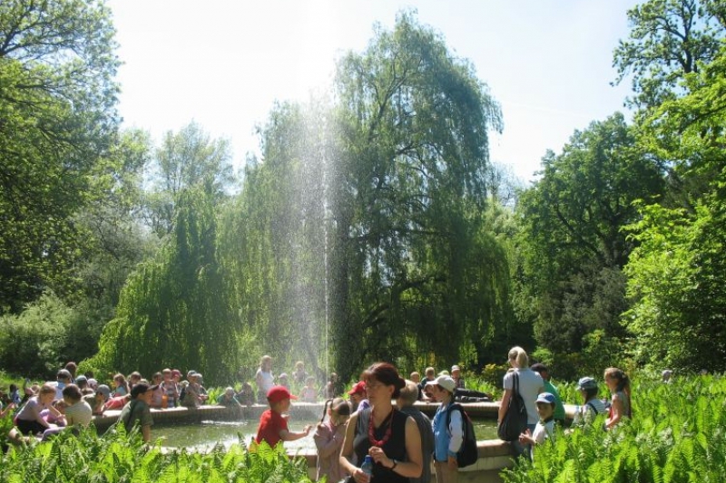 Ogród Botaniczny (fot. 11)