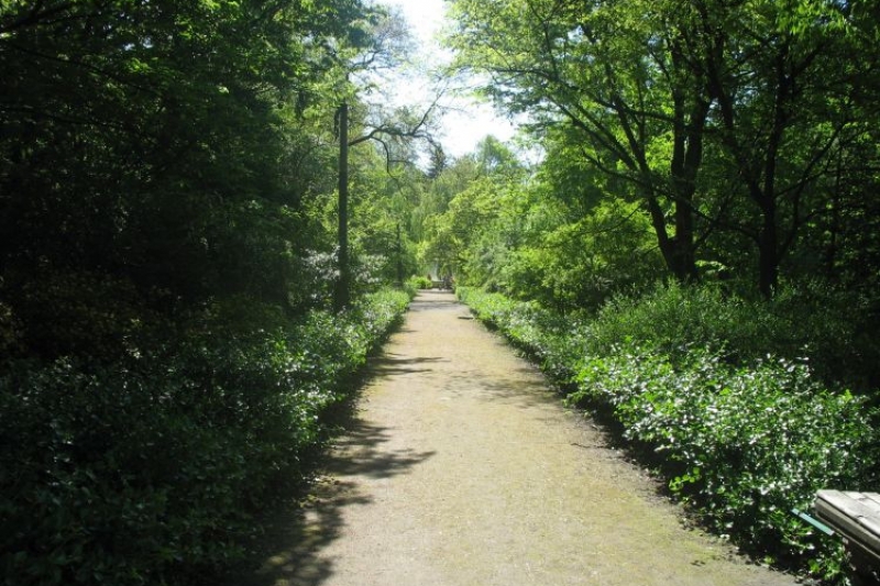 Ogród Botaniczny (fot. 10)