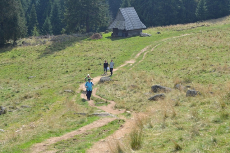 Wyprawa Górska, czyli jak dnaleźć swoje małe szczęście (fot. 7)