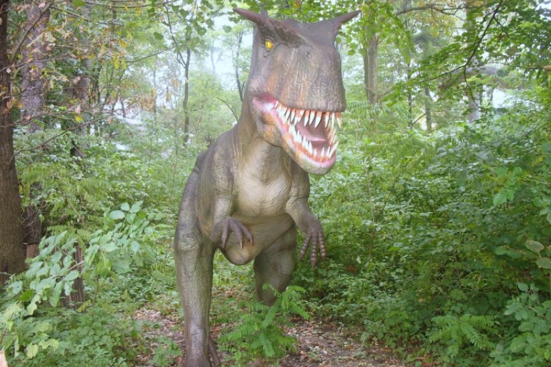 DinoZatorLand (fot. 5)