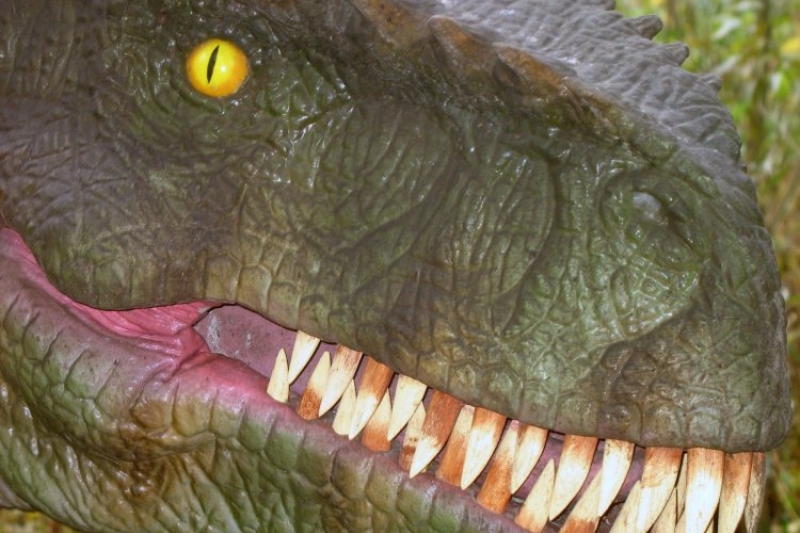 DinoZatorLand (fot. 7)