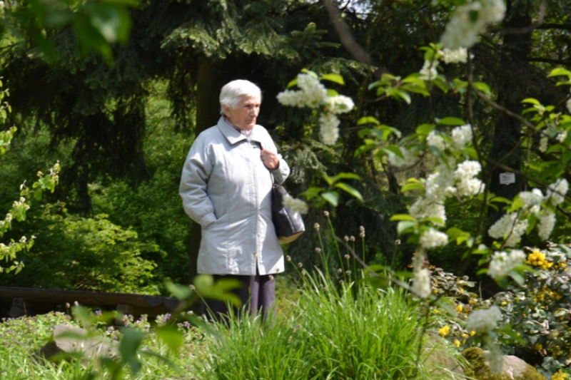 Ogród Botaniczny 2016 (fot. 11)