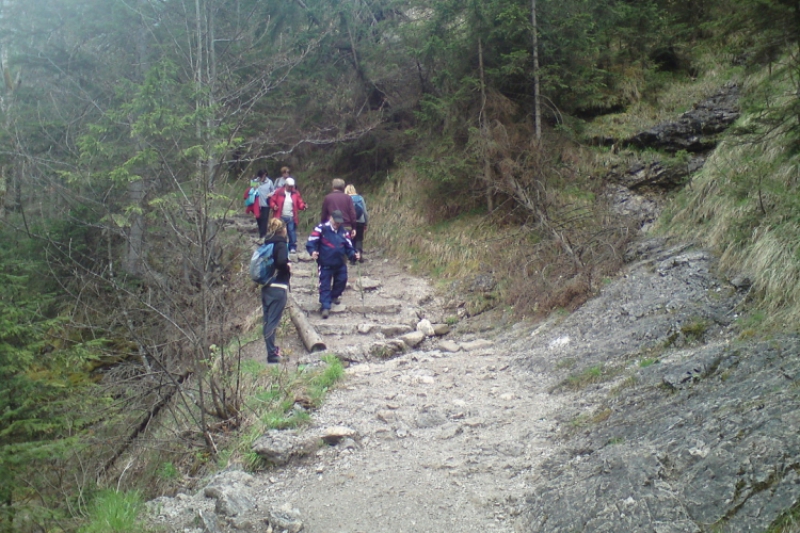 Zakopane - dolina Białego Potoku (fot. 4)