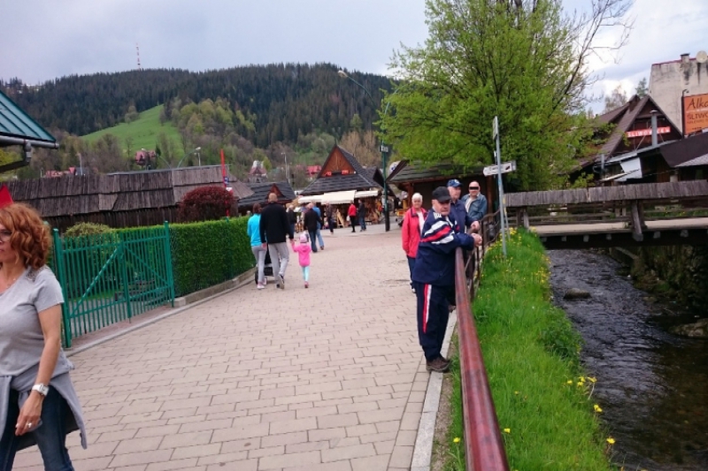 Zakopane - dolina Białego Potoku (fot. 8)