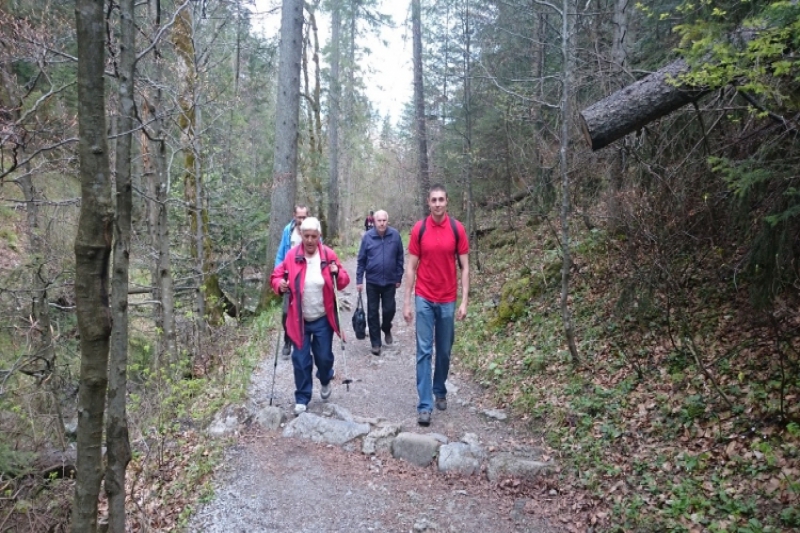 Zakopane - dolina Białego Potoku (fot. 11)