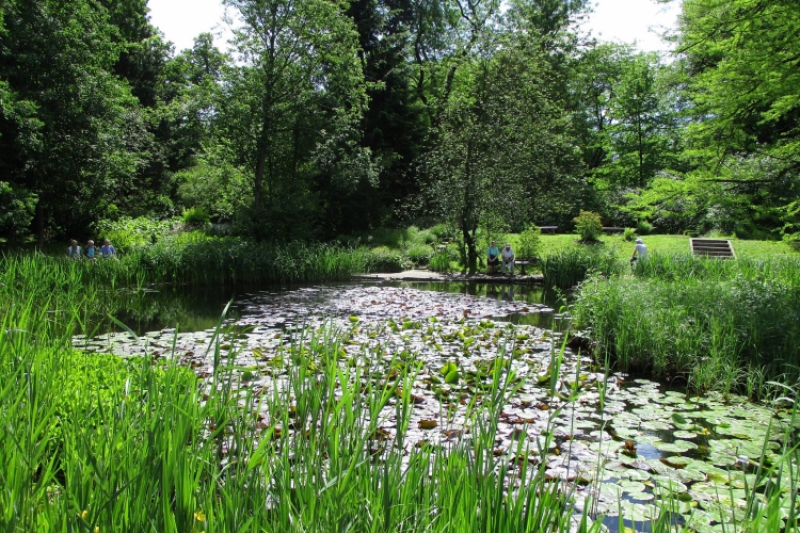 Wyjście do ogrodu botanicznego (fot. 8)