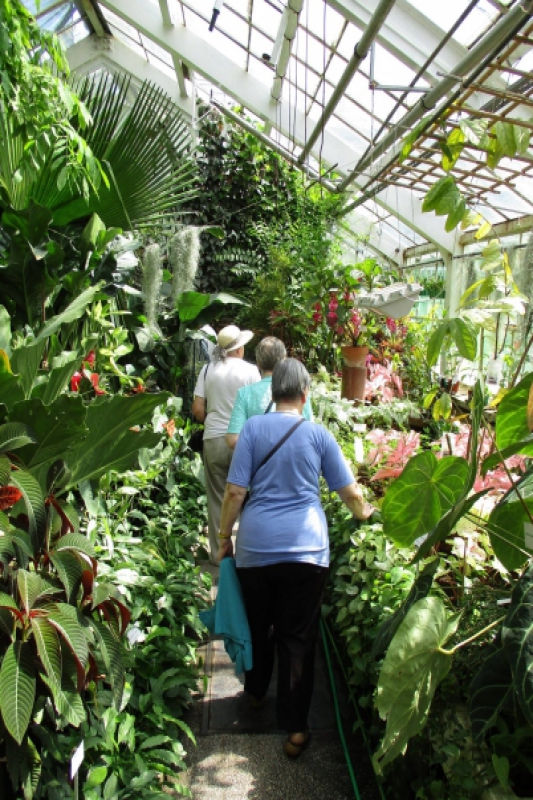 Wyjście do ogrodu botanicznego (fot. 11)