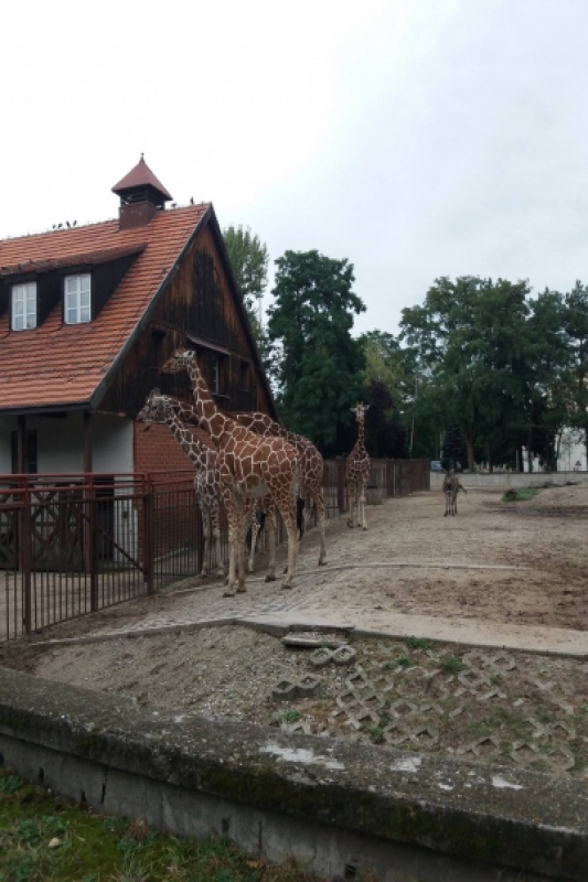 Czterodniowa wycieczka do Wrocławia (fot. 21)