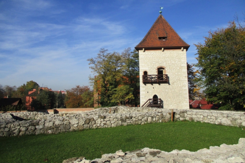 Wycieczka do Wieliczki (fot. 12)