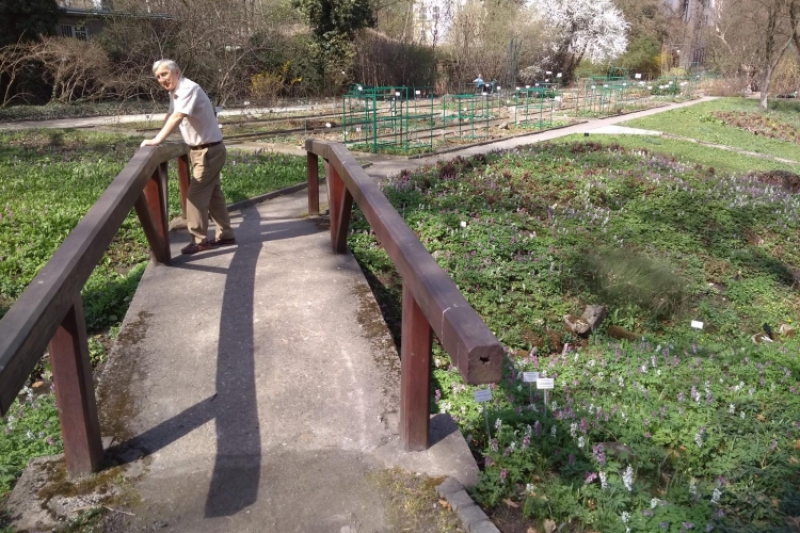 Wyjście do ogrodu botanicznego (fot. 6)