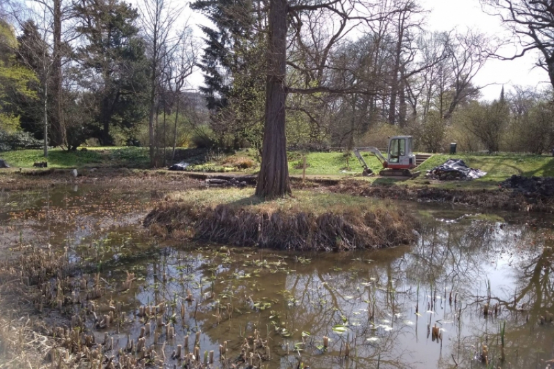 Wyjście do ogrodu botanicznego (fot. 3)