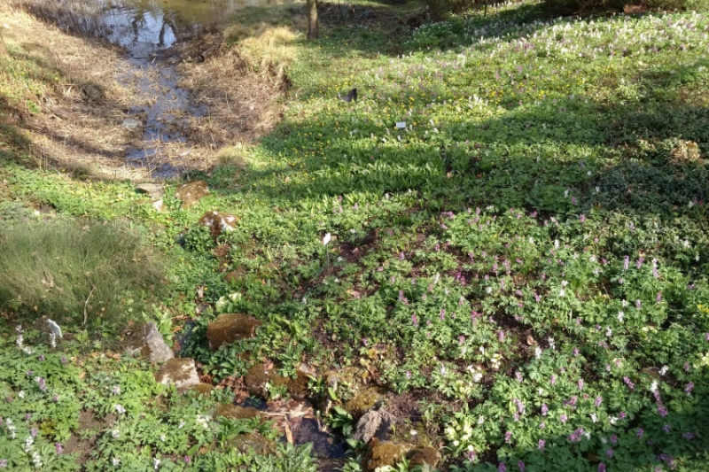 Wyjście do ogrodu botanicznego (fot. 5)