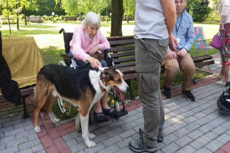 Kolejna dawka Dogoterapii (fot. 6)