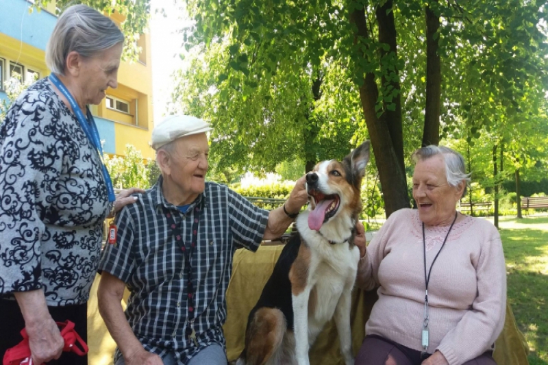 Kolejna dawka Dogoterapii (fot. 4)